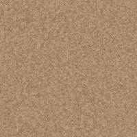 tmpe039e06fa649d145fdada37f2d8955be